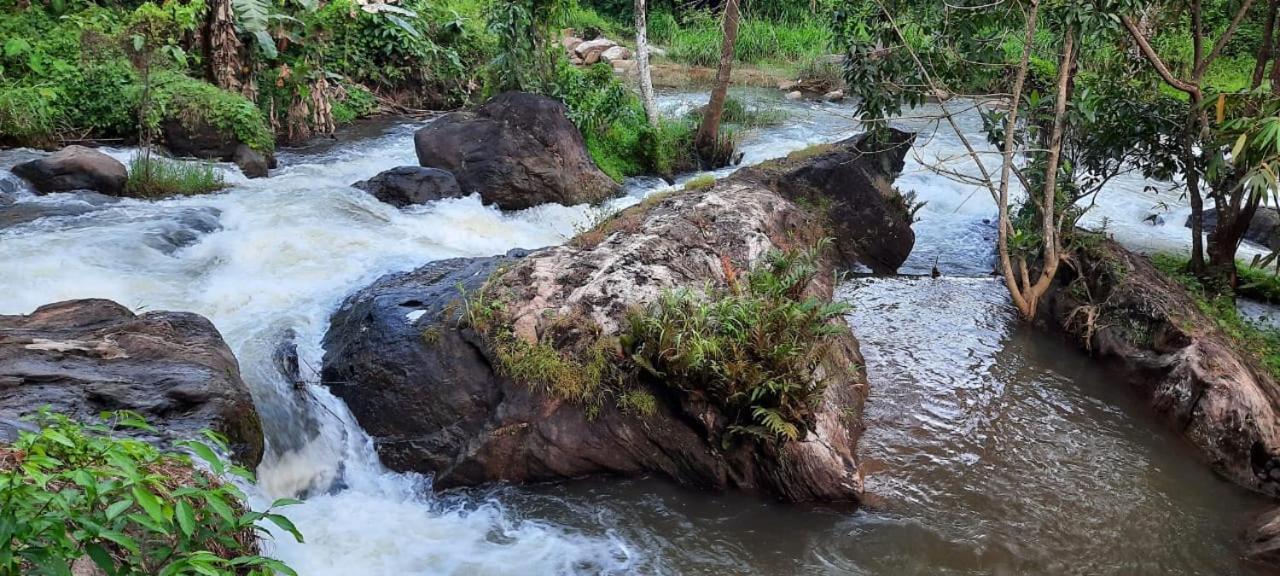 Linn View Home Stay Munnar Camera foto