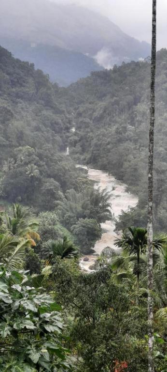 Linn View Home Stay Munnar Esterno foto