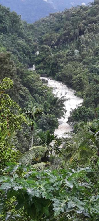 Linn View Home Stay Munnar Esterno foto